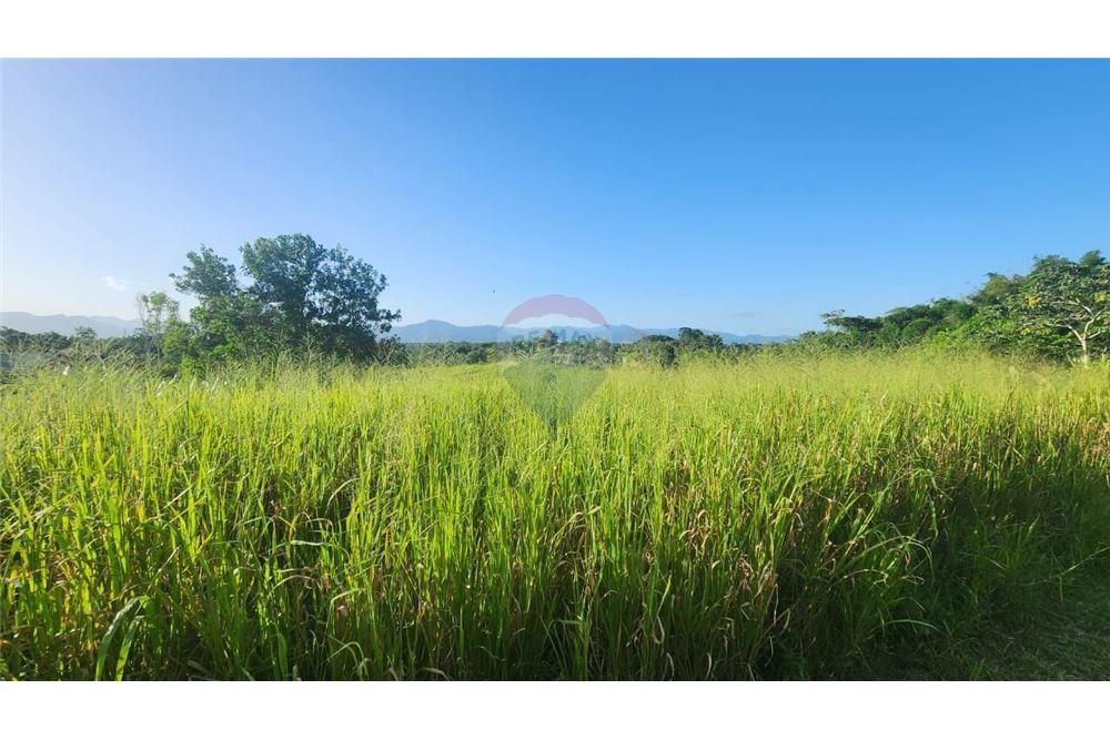 Land - For Sale - Las Lomas, Caroni, Trinidad and Tobago - 4 - 902551007-7