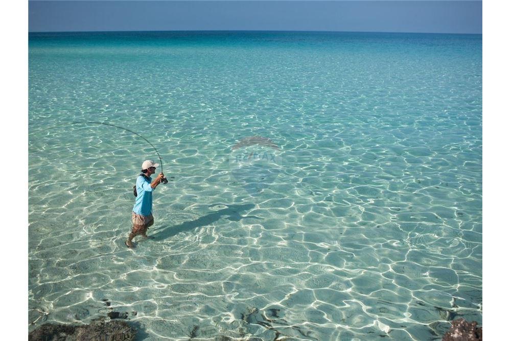 Wohnung - Villa - Placencia, Stann Creek District, Belize - Caribbean & Central Ameri - 32 - 90127025-60