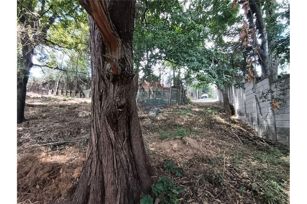 Land - For Sale - San Lucas Sacatepéquez, Sacatepéquez, Guatemala - 3 - 90129016-31