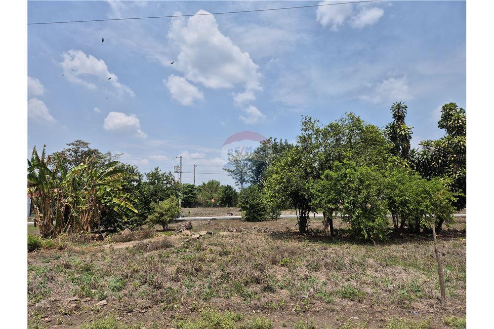 Land - For Sale - Rio Bravo, Suchitepéquez, Guatemala - 4 - 902641001-1