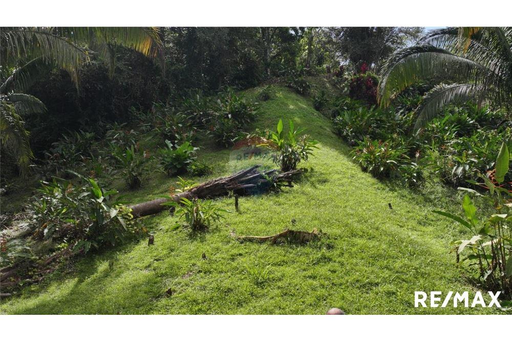 Comercial - Terreno - Parrita, Puntarenas - Parrita, Costa Rica - Caribbean & Central Ameri - 8 - 90168045-21