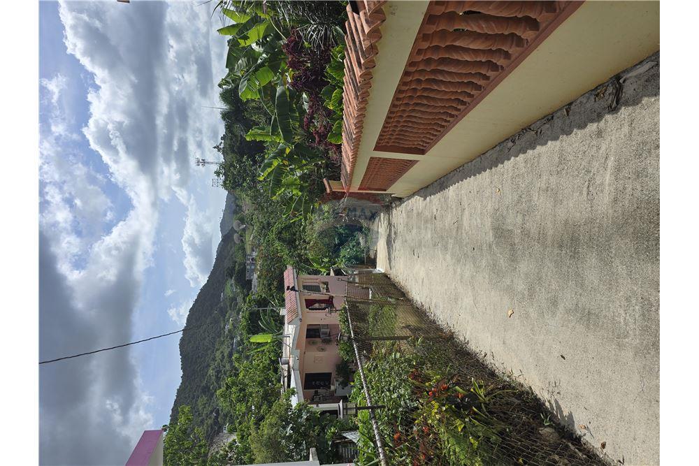 Villa - Venta - Cayey, Cayey, Puerto Rico - 3 - 90102025-339