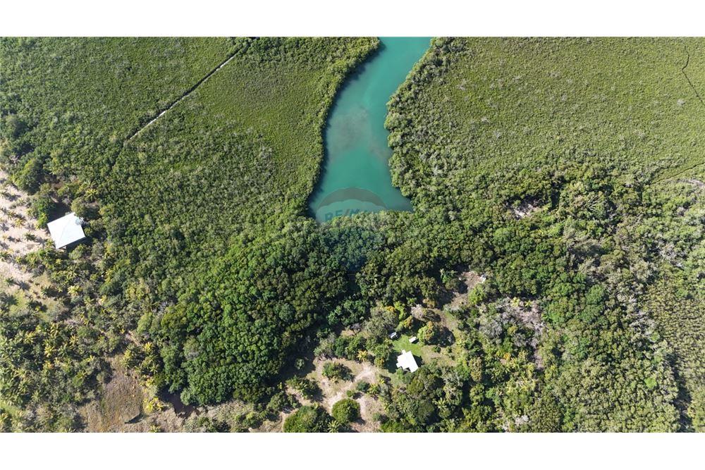 Commercial - Land - Monkey River, Toledo District, Belize - Caribbean & Central Ameri - 9 - 90127016-269