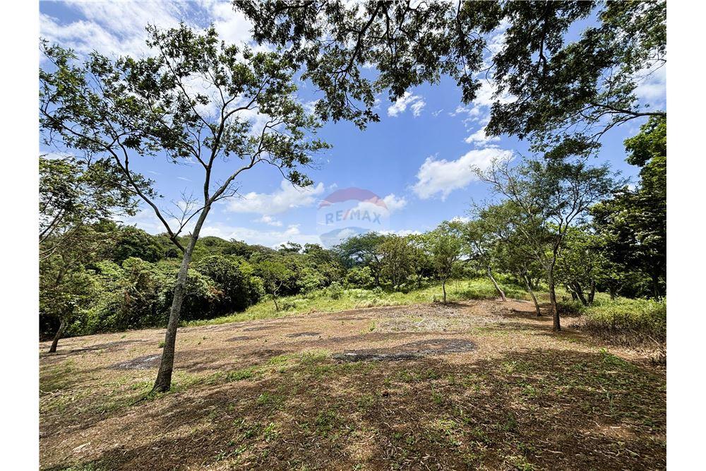 Land - For Sale - Dolores, Carazo, Nicaragua - 2 - 902521001-24