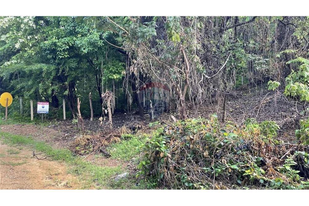 Commercial - Land - San Juan del Sur, Rivas, Nicaragua - Caribbean & Central Ameri - 5 - 90119008-110