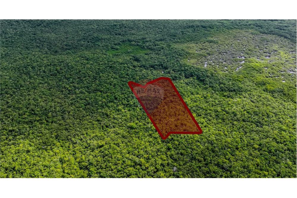 Lote - Venta - North Side, Grand Cayman, Islas Caimán - 2 - 90146046-10