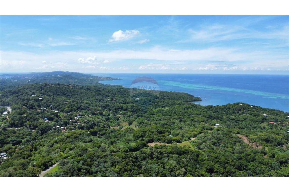 Lote - Venta - Roatan, Bay Islands, Honduras - 30 - 90143009-439