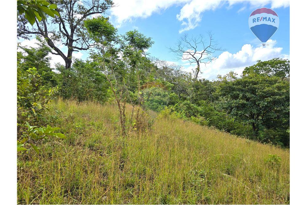 Commercial - Land - Nandaime, Granada, Nicaragua - Caribbean & Central Ameri - 7 - 90119010-73