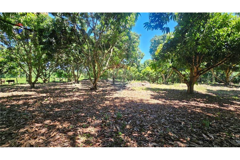 Land - For Sale - Guazapa, San Salvador, El Salvador - 1 - 902331017-92