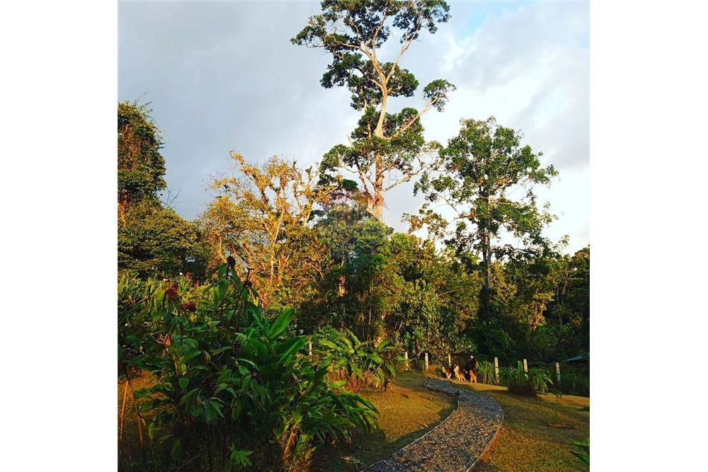 住宅 - 多户住宅 - Puntarenas, Puntarenas - Puntarenas, 哥斯达黎加 - Caribbean & Central Ameri - 5 - 90168039-34