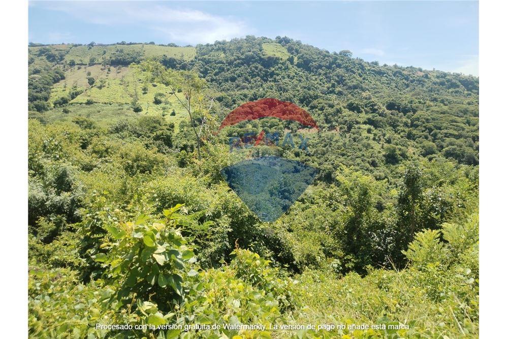 Land - For Sale - Panchimalco, San Salvador, El Salvador - 10 - 901901066-4
