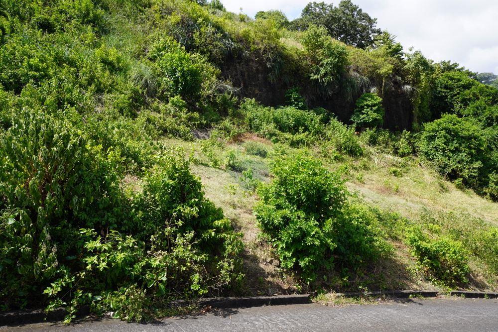 Commercial - Land - Arnos Vale, St Vincent, St Vincent and the Grenadines - Caribbean & Central Ameri - 1 - 90109001-327