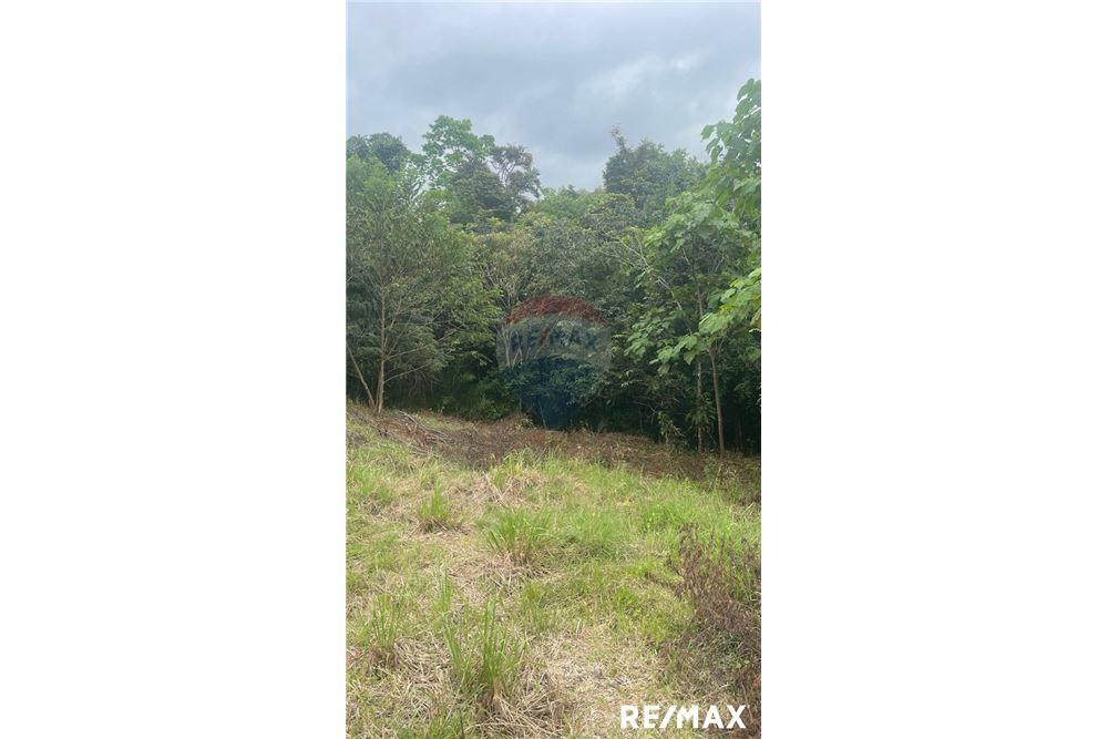 商业 - 土地 - Jaco - Playa Hermosa, Puntarenas- Garabito, 哥斯达黎加 - Caribbean & Central Ameri - 6 - 90168045-18