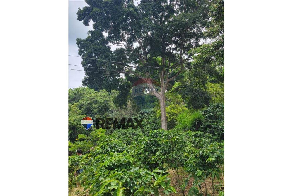 Grondstuk - Te Koop - San Martín, San Salvador, El Salvador - 5 - 902501008-22