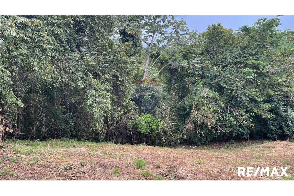 Commercio - Terreno - Puntarenas, Puntarenas - Puntarenas, Costa Rica - Caribbean & Central Ameri - 19 - 90168045-6