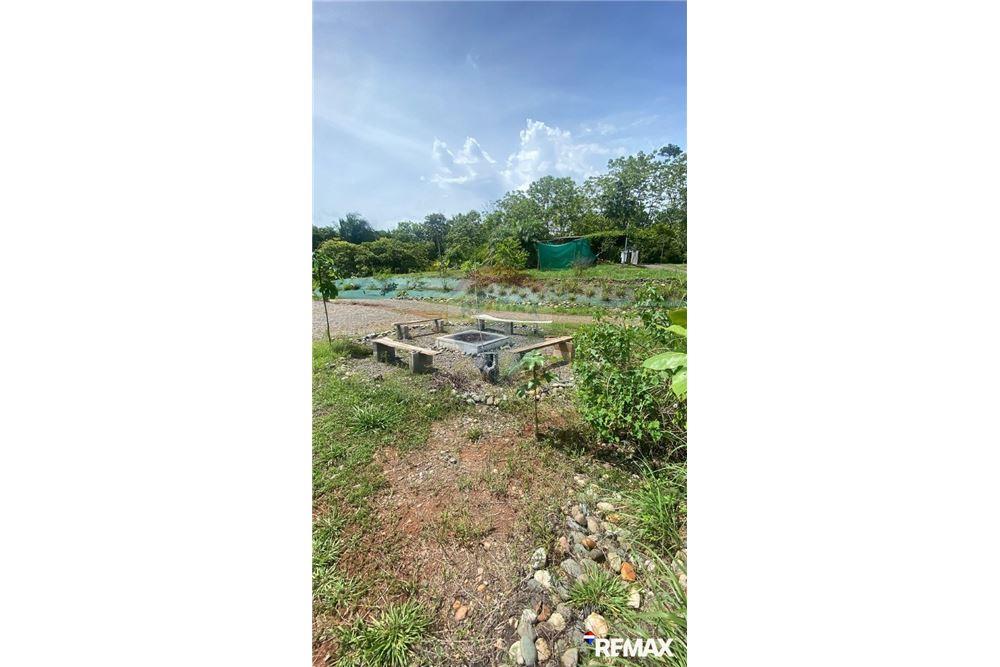 Residential - Multi-Family - Parrita, Puntarenas - Parrita, Costa Rica - Caribbean & Central Ameri - 17 - 90168003-464