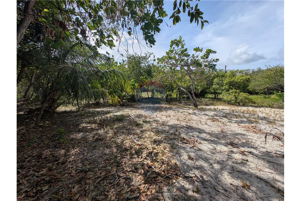 Commercial - Land - Maya Beach, Stann Creek District, Belize - Caribbean & Central Ameri - 6 - 90127016-282