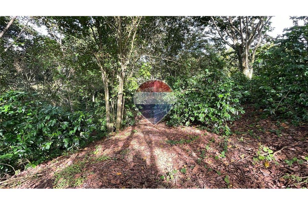 Land - For Sale - Santa Tecla, La Libertad, El Salvador - 4 - 901901032-34