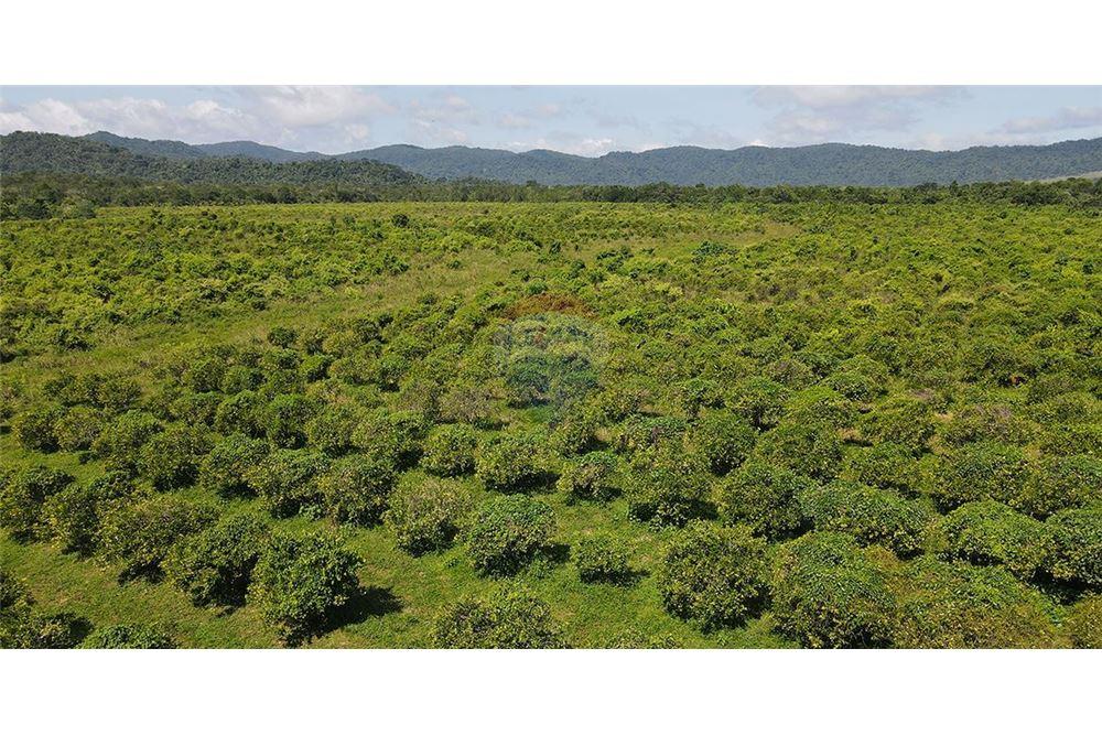 Venta de Negocio - Venta - Silk Grass, Stann Creek District, Belice - 8 - 901911013-62