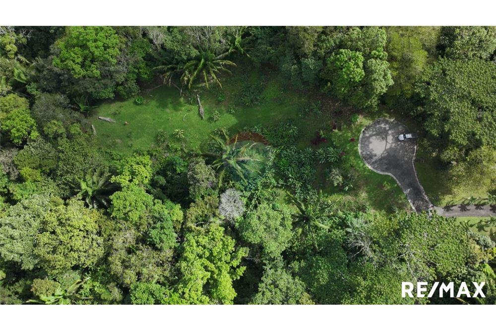 Comercial - Terreno - Parrita, Puntarenas - Parrita, Costa Rica - Caribbean & Central Ameri - 20 - 90168045-21