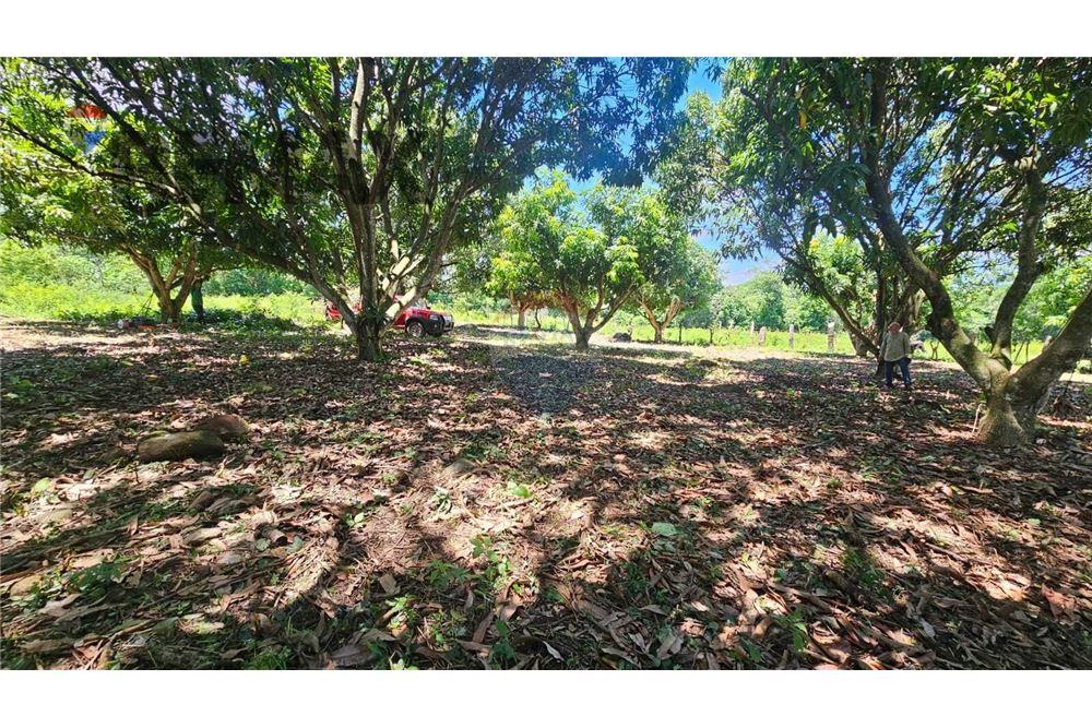 Land - For Sale - Guazapa, San Salvador, El Salvador - 4 - 902331017-89