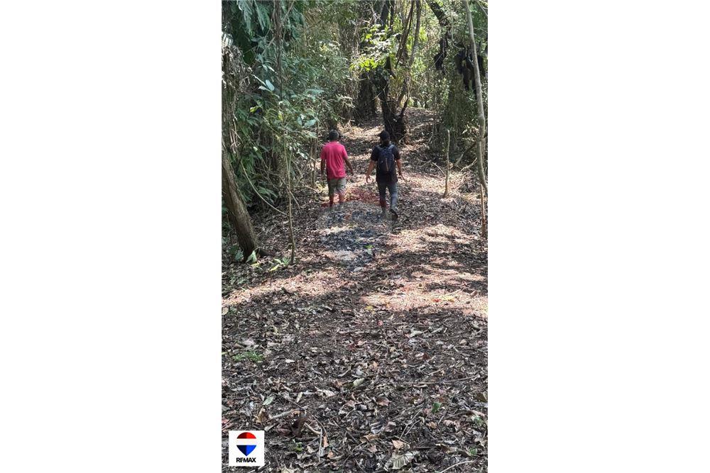 Comercial - Terrenos - Tarcoles - Quebrada Ganado, Puntarenas- Garabito, Costa Rica - Caribbean & Central Ameri - 18 - 90168030-59