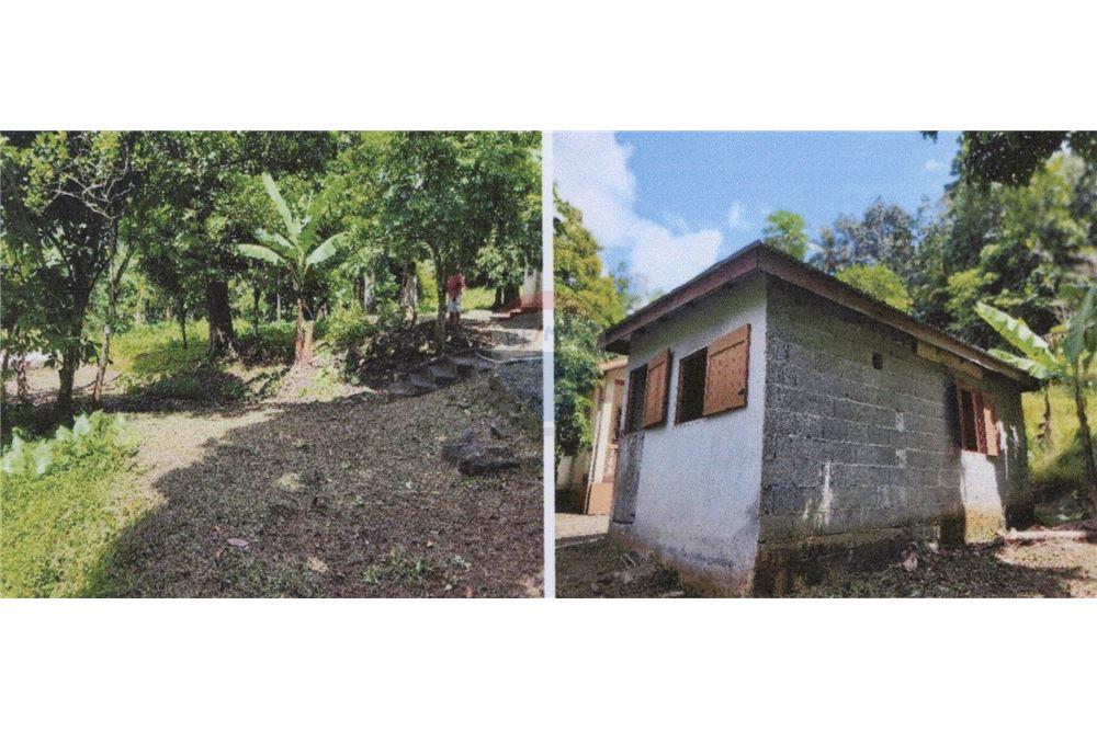 Commercial - Land - Soufrière, Soufrière, St Lucia - Caribbean & Central Ameri - 3 - 902071001-217