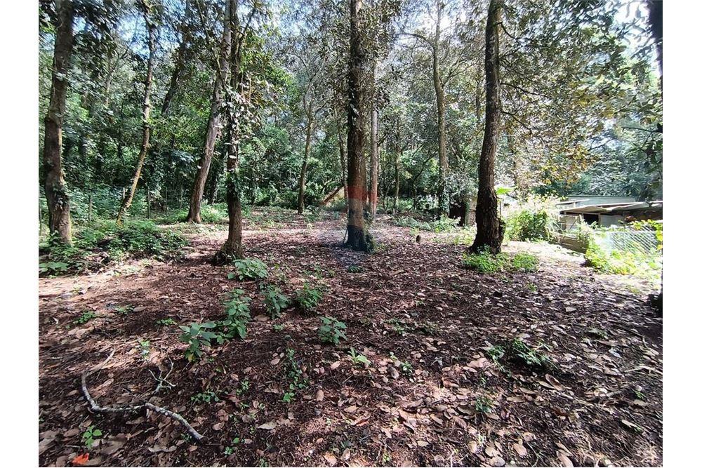 Land - For Sale - San Lucas Sacatepéquez, Sacatepéquez, Guatemala - 1 - 90129016-2