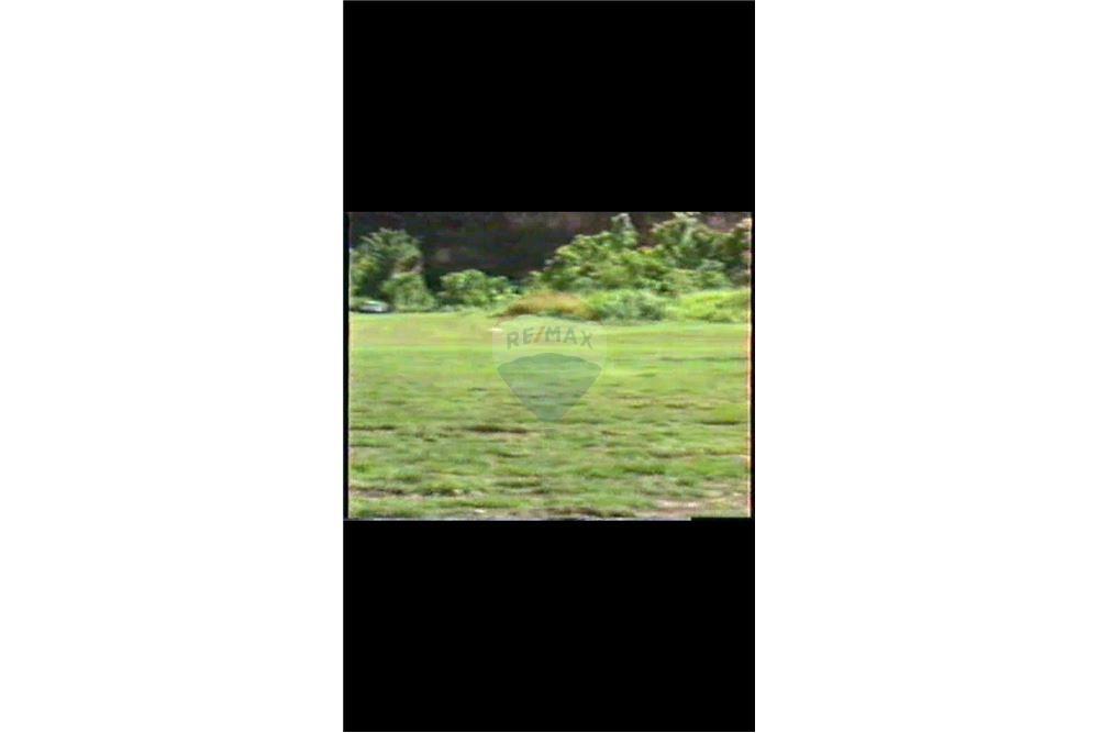 Land - For Sale - Dorado, Dorado, Puerto Rico - 5 - 90102025-331