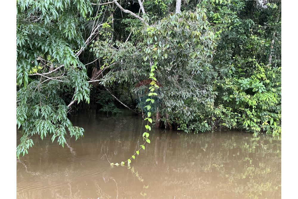 Commercial - Land - Punta Gorda, Toledo District, Belize - Caribbean & Central Ameri - 3 - 90127003-294