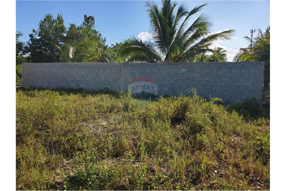 商业 - 土地 - Corozal Town, Corozal District, 伯利兹 - Caribbean & Central Ameri - 8 - 901411007-91