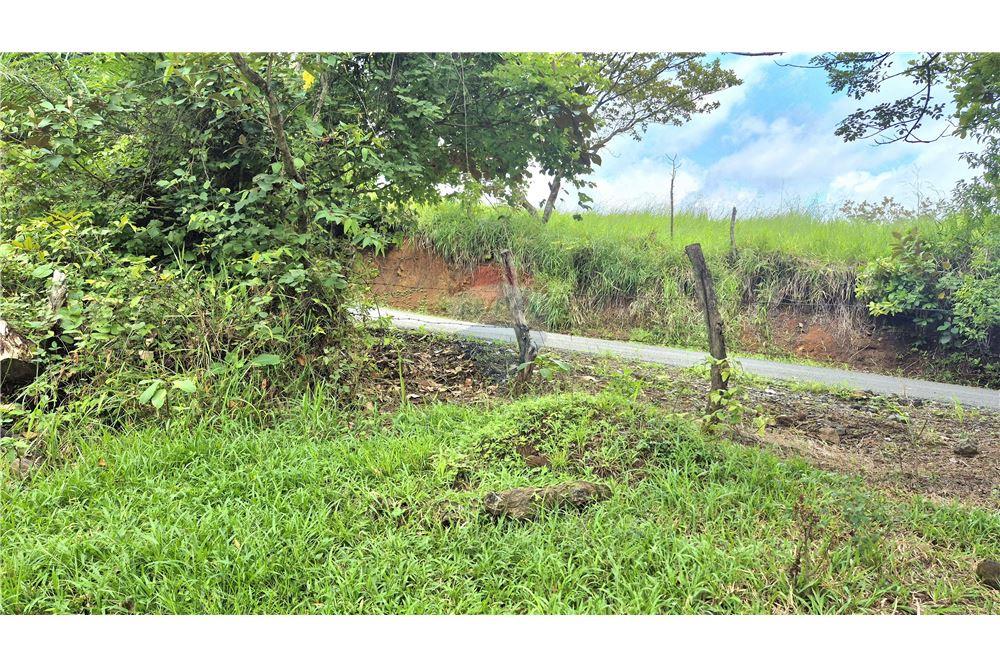 Commercial - Land - Atenas, Alajuela- Atenas, Costa Rica - Caribbean & Central Ameri - 10 - 90128007-183