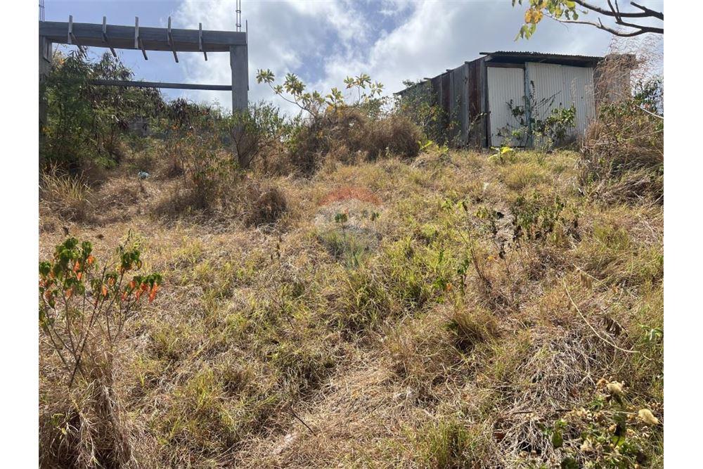 Commercial - Land - Spring, Bequia, St Vincent and the Grenadines - Caribbean & Central Ameri - 5 - 90109004-54