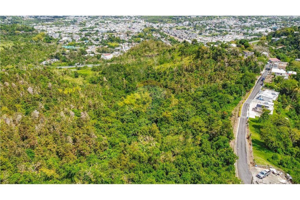 Commercial - Land - Cayey, Cayey, Puerto Rico - Caribbean & Central Ameri - 1 - 902461010-4
