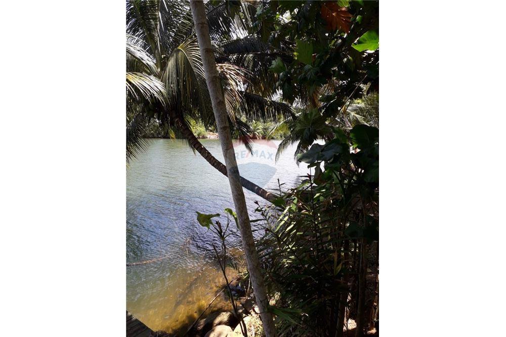 Commercial - Land - Hopkins, Stann Creek District, Belize - Caribbean & Central Ameri - 4 - 90127003-288