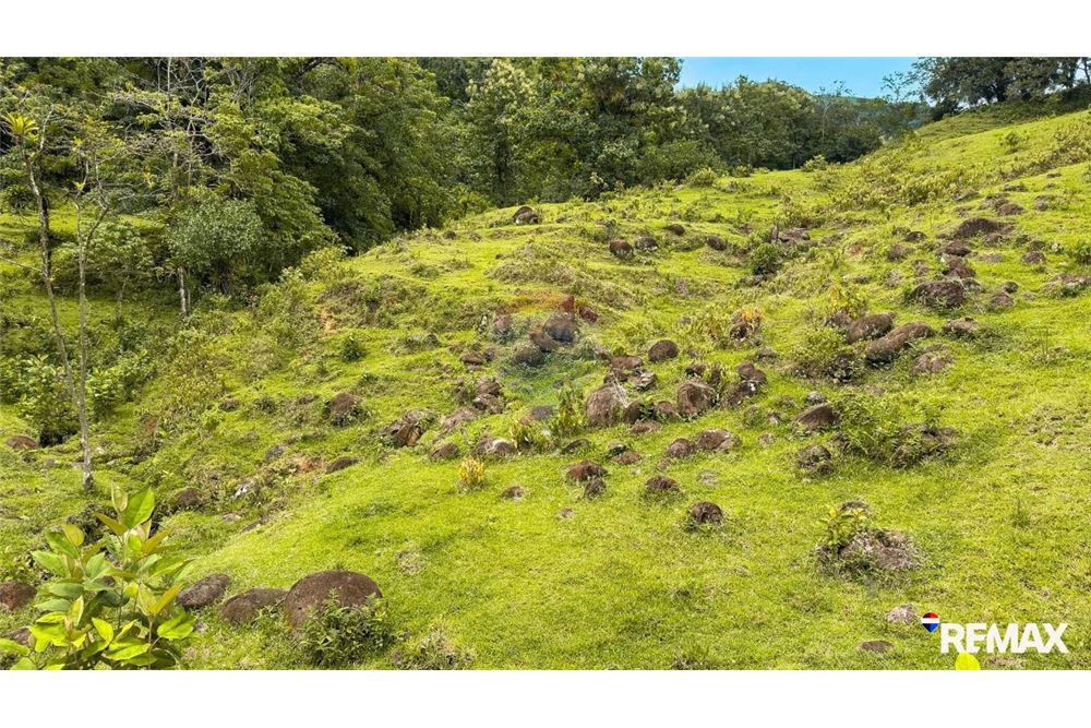 Comercial - Terreno - Parrita, Puntarenas - Parrita, Costa Rica - Caribbean & Central Ameri - 23 - 90168003-467