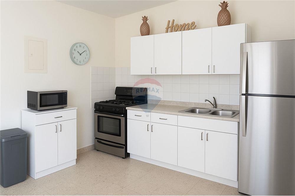 Multi-Family - For Sale - Parc San Isidro, Canóvanas, Puerto Rico - 3 - 90156072-1