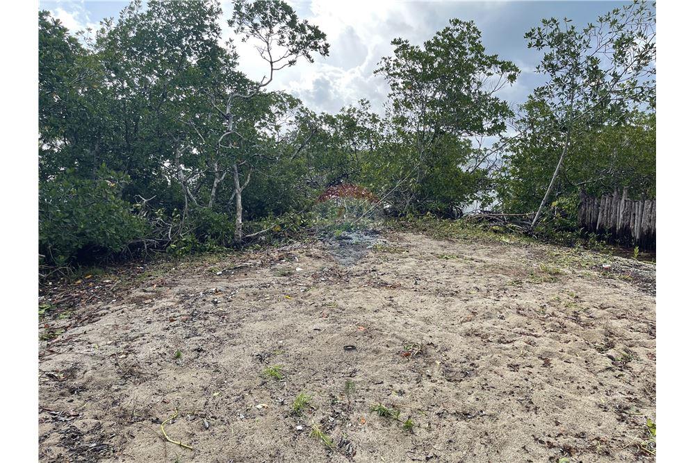 Commercial - Land - Placencia, Stann Creek District, Belize - Caribbean & Central Ameri - 12 - 90127016-276