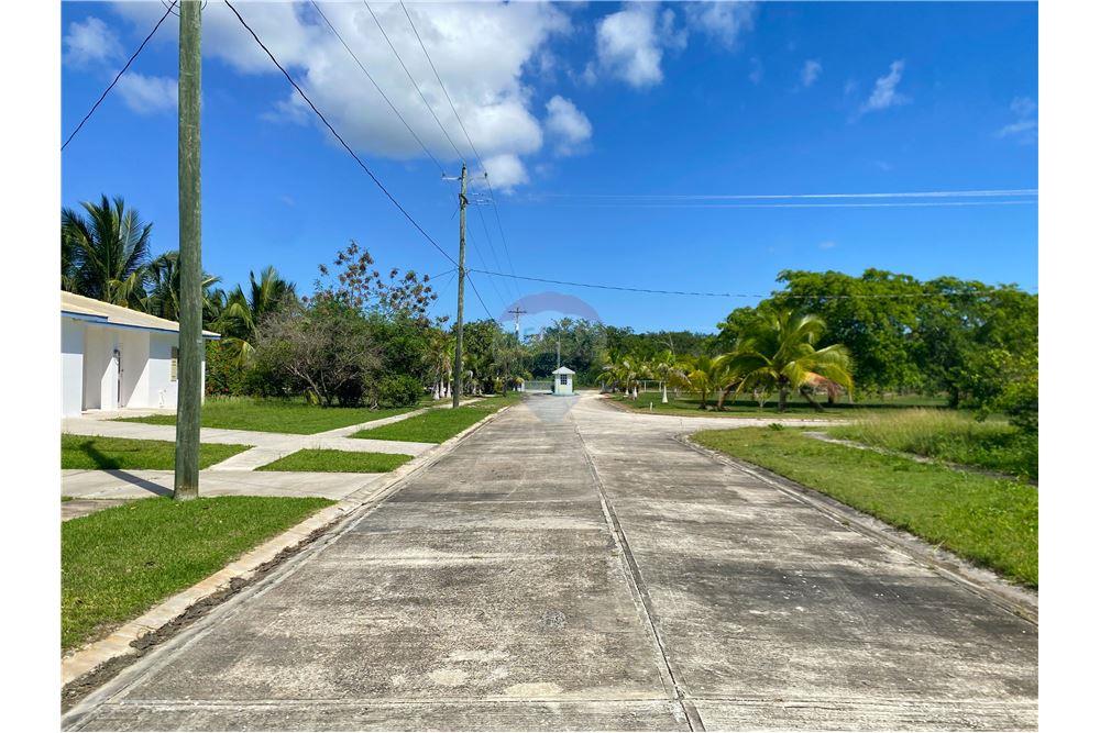 Surface commerciale - Autre terrain - Consejo, Corozal District, Belize - Caribbean & Central Ameri - 1 - 901411007-87