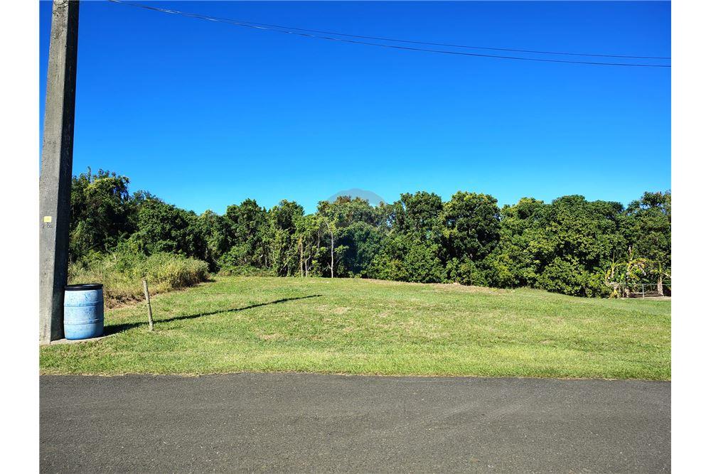 Commercial - Land - Parc Garrochales, Barceloneta, Puerto Rico - Caribbean & Central Ameri - 3 - 902461013-12