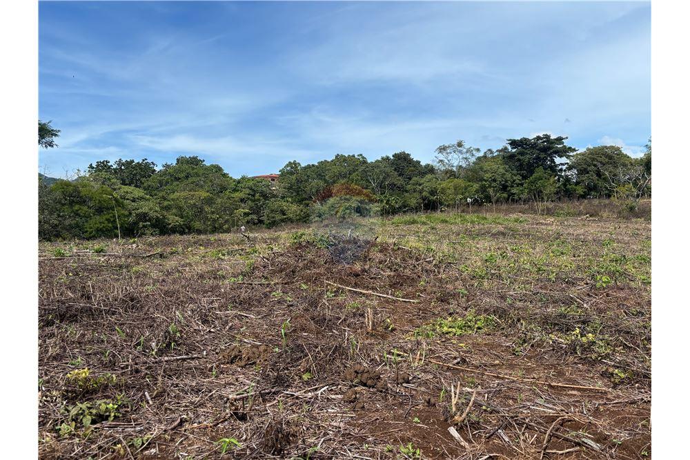 Grondstuk - Te Koop - Atenas, Alajuela- Atenas, Costa Rica - 30 - 90128002-974