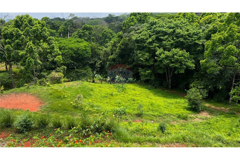 Commercial - Land - Bijagual, Puntarenas, Costa Rica - Caribbean & Central Ameri - 18 - 90168042-14