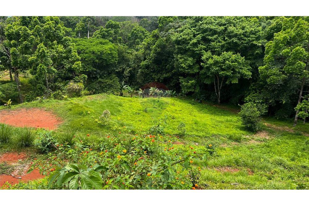 Commercial - Land - Bijagual, Puntarenas, Costa Rica - Caribbean & Central Ameri - 12 - 90168042-14