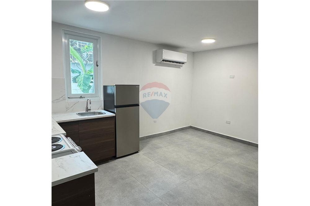 Bedrijfsmatig / Detailhandel - Te Koop - Santurce, San Juan, Puerto Rico - 7 - 90102068-7