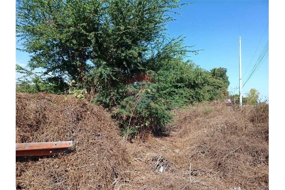 Land - For Sale - San Luis Talpa, La Paz, El Salvador - 12 - 902501005-11