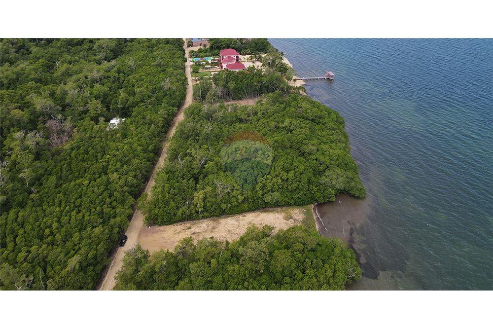 Lote - Venta - Hopkins, Stann Creek District, Belice - 4 - 901911013-61
