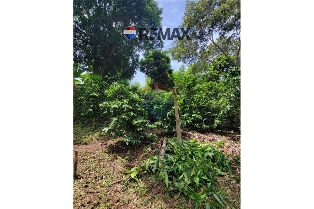 Land - For Sale - San Martin, San Salvador, El Salvador - 6 - 902501008-20