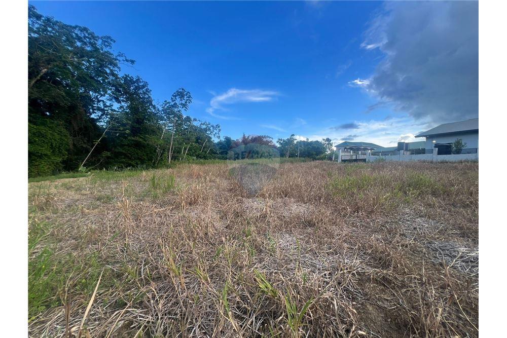 Lote - Venta - Sangre Grande, Saint Andrew, Trinidad and Tobago - 3 - 90155092-96