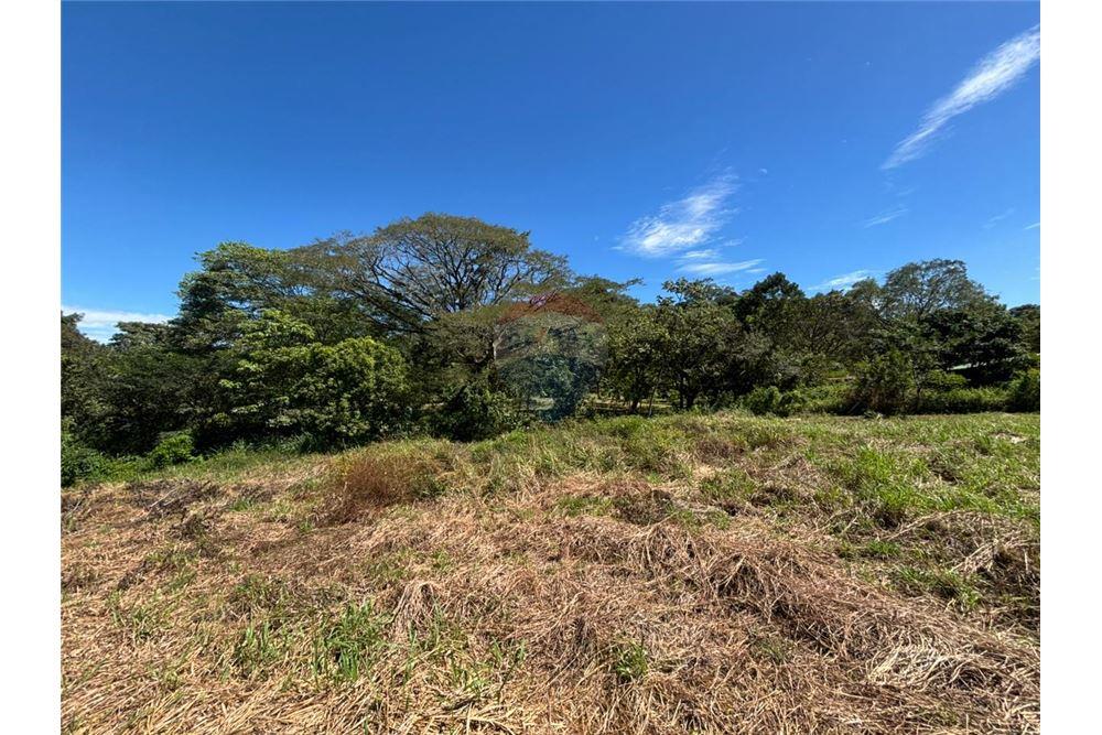 Comercial - Terreno - Atenas, Alajuela- Atenas, Costa Rica - Caribbean & Central Ameri - 26 - 90128002-998