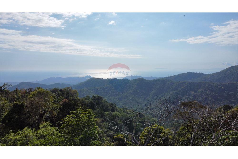 Surface commerciale - Autre terrain - San José, San José, Costa Rica - Caribbean & Central Ameri - 18 - 90168030-68